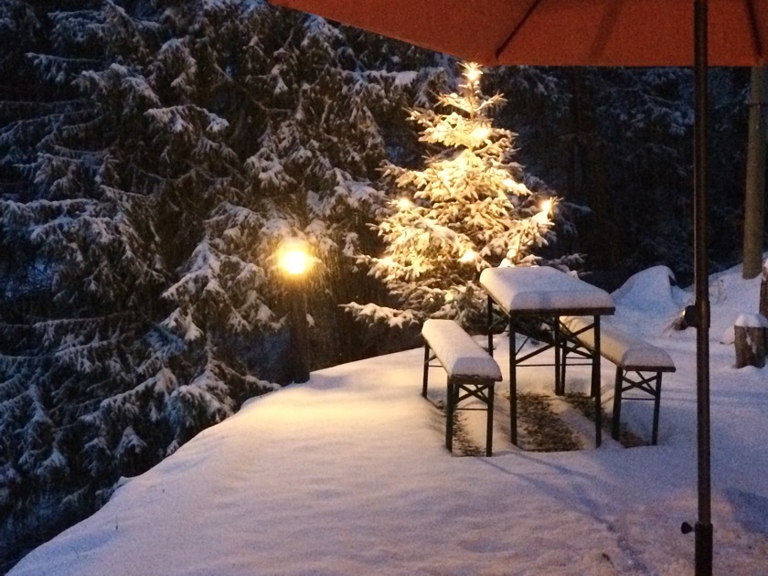 Weihnachtsbaum im Vorgarten