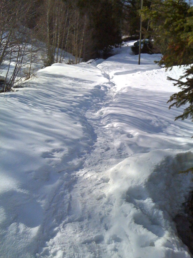 Fußweg zum Chalet