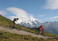 VTT